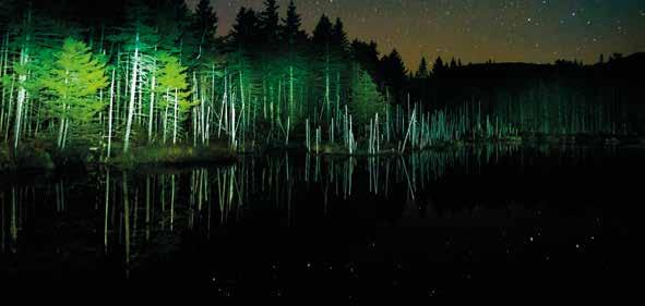 13000-14400 LUMS 10000 100m Floodlight Twin L--1502-DH-FL 2 [24 Samsung 3535 LED] 13 000 lm / Pb accu 12V 35000 mah / 6 h 14 400 lm - Boost Portable floodlight with dual heads for double the output
