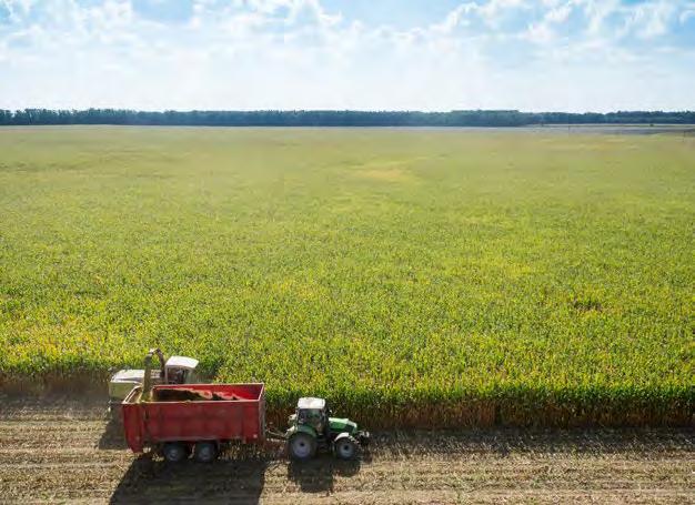 24 25 DKC 3350 FAO 250 NR 1 NA KISZONKĘ W BADANIACH ROZPOZNAWCZYCH COBORU 2016 107% WZORCA ŚREDNIOWCZESNA KISZONKA 17 LOKALIZACJI Z 22 TESTOWANYMI ODMIANAMI REJONIZACJA UPRAWY DKC 3350 MOCNE ROŚLINY,