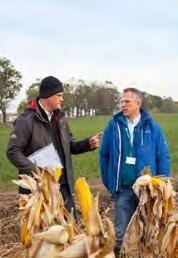 ŻNIN 9,8 t/ha 24,3% BADANIA PDO COBORU 2016 NR 2 W GRUPIE ŚREDNIOPÓŹNEJ KONIN 14,1 t/ha 28,3% BRANICE 13,5 t/ha 29,0% WYBRANOWO 13,2 t/ha 25,8% 13,7 t/ha 33,6% ŻORY 11,7 t/ha 20,4% NOWE BRZESKO 12,8