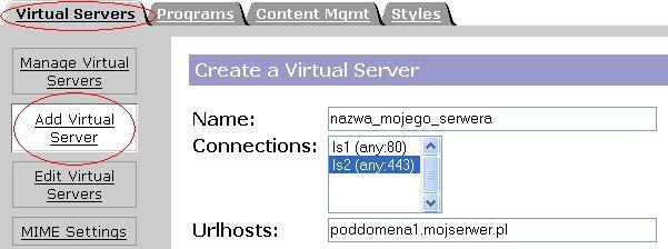 wieloznaczny) należy wejść w tryb Server Manager zakładkę Virtual Server Class i z lewego menu wybrać Manage Classes.