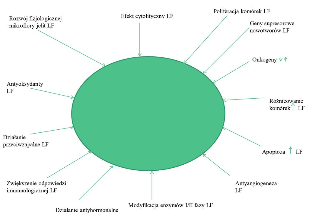 ków przez zwierzęta monogastryczne bez pomocy enzymów pochodzenia mikrobiologicznego [De Souza 2003, Douglas i Sanders 2008].