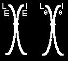 Crossing over Para chromosomów homologicznych w