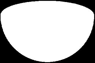 RP 2 = S 1 /Z 2 = S 1.