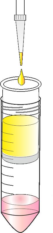 5. Następnie nanieść na kolumny Spin 500AX po 5 ml drugiego roztworu płuczącego W2. 6. Wirować w rotorze uchylnym 2 min przy 3000 RPM. 7.