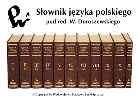 Elektroniczny przedruk słownika