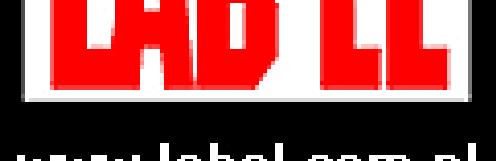 pl witryna internetowa: http://www.label.pl/ Instrukcja obsługi termometru LB 560E wersja 1 1.