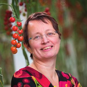 FELIETON ARJA HILBERDINK Brazylia W tym felietonie chciałam opowiedzieć Wam coś więcej o fundacji, w której działam.