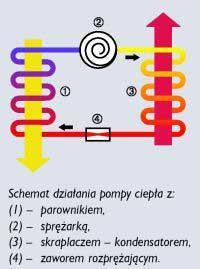 Maszynoznawstwo ogólne i maszyny technologiczne wykład 1 Zasada działania pompy ciepła Pompy ciepła działają tak jak lodówki, lecz w przeciwieństwie do nich wykorzystuje się tu nie zimną, lecz gorącą