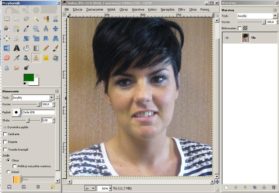 Fotografia cyfrowa obsługa programu GIMP materiały dla osób prowadzących zajęcia komputerowe w bibliotekach Cz. 15. Retusz twarzy i postaci Jak skorygowad defekty i wygładzid twarz?