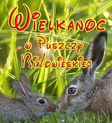 Polecamy Święta Wielkanocne 2017r: w hotelach w Białowieży w Dworze Bartnika i Bojarskim Gościńcu w Narewce na kwaterach agroturystycznych.