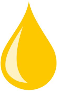 nr 66(II)/ W tym numerze: Pakiet przewozowy wszedł w życie str. 1 i 2 Ograniczenie stosowania oleju palmowego na biopaliwa str. 2 Koalicja na Rzecz Biopaliw - stanowisko dla PE str.