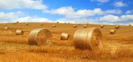 Konkurs RUR na 2017 rok Rural Renaissance (RUR) Fostering innovation and business Trzy główne zakresy tematyczne: 1) Nowe podejścia wobec polityki i rządzenia (w tym: zarządzanie i wykorzystanie
