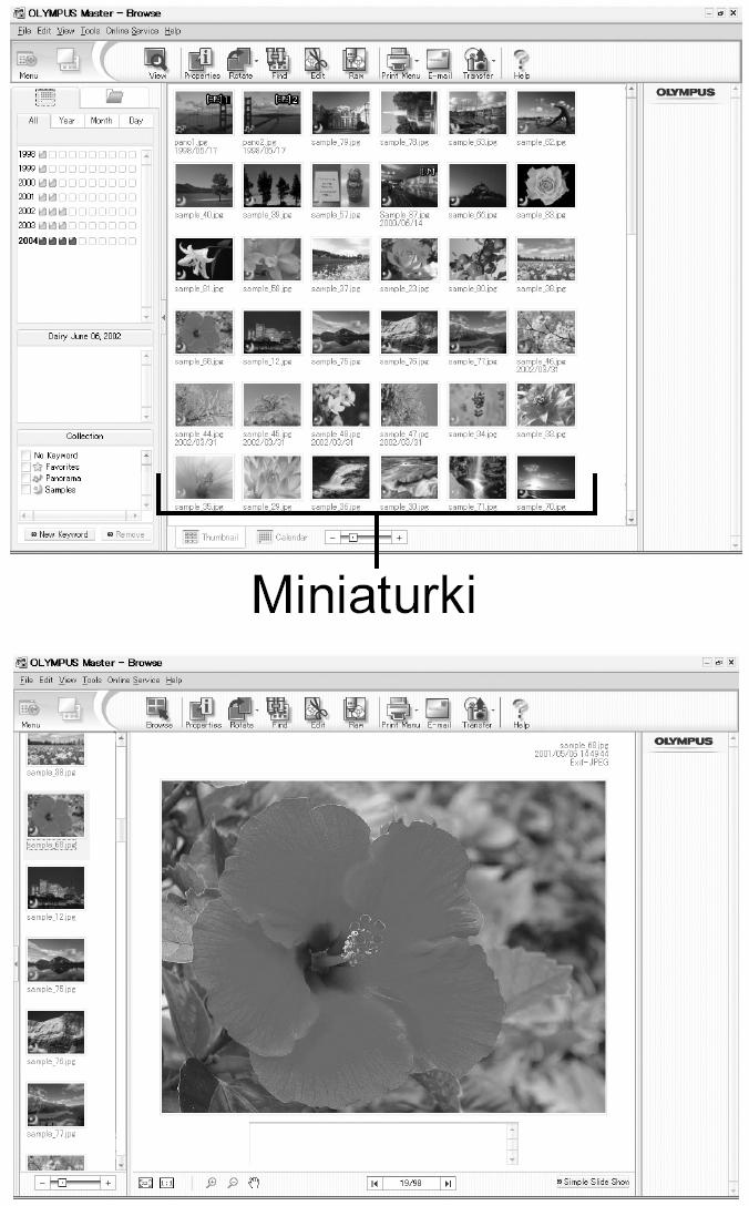 Przeglądanie zdjęć / sekwencji wideo 1 W głównym menu aplikacji OLYMPUS Master kliknij przycisk (Browse Images). Wyświetlone zostanie okno BROWSE.