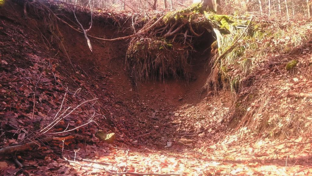122 Robert Borzęcki, Aneta Marek Ryc. 7. Zasypany wlot do sztolni nr 11a (fot. A. Marek), stan z dnia 2.04.2016 r. Fig. 7. Buried entrance to adit 11a (photo A.