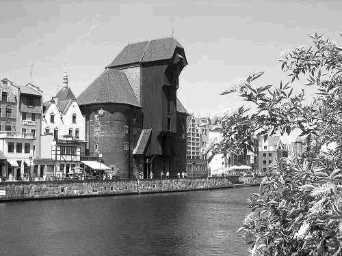 Korelacje w danych