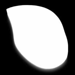 się podkładki po powierzchni biurka rozmiar: 200 x 230 mm wzór cena FEL000554