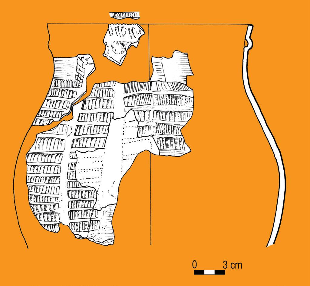 Ryc. 12. Dąbrowa. Fragment naczynia glinianego KCGD Według E.