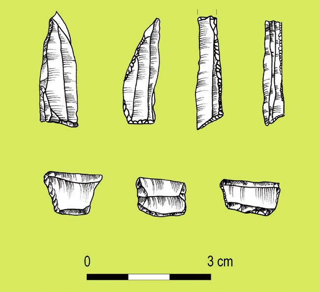 MAZOWSZE Studia Regionalne nr 5/2010 I. Analizy i Studia 53 Ryc. 2. Mikrolityczne zbrojniki strzał do łuku (mezolit) Według S. Sałaciński, A. J.