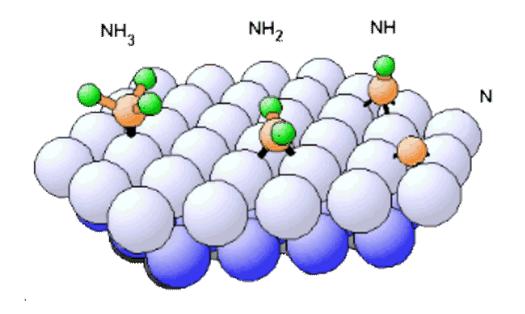 Adsorpcja chemiczna Chemisorpcja amoniaku NH 3 NH + H