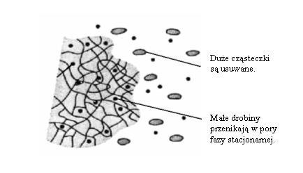 Chromatografia