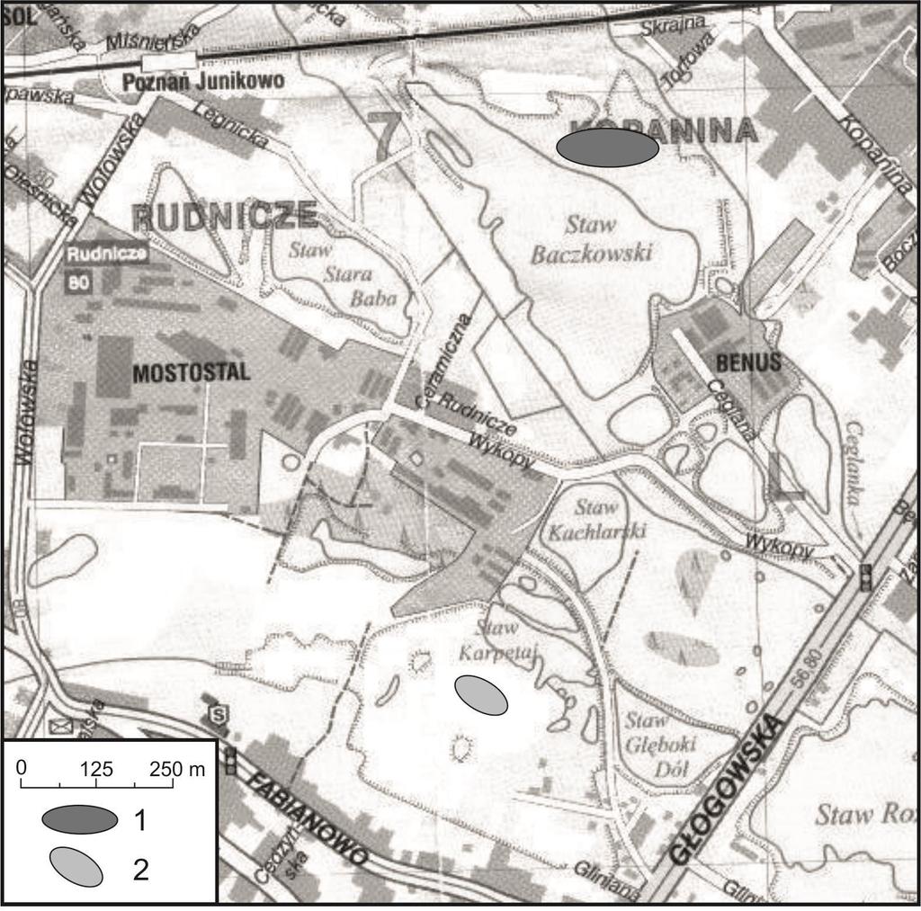 208 MAGDALENA KLUZA-WIELOCH ET AL., Fig. 1. Location of the studied populations of E. palustris within the south-western part of Poznań city (1:18 000; Poznań city plan, 2014).