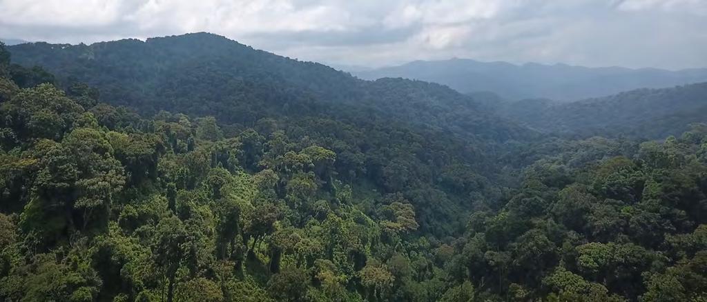 DZIEŃ 9 RWENZORI PARK NARODOWY QUEEN ELIZABETH Rano czeka nas krótki trekking okolicznymi szlakami, aby finalnie zobaczyć górę Stanleya w całej okazałości.
