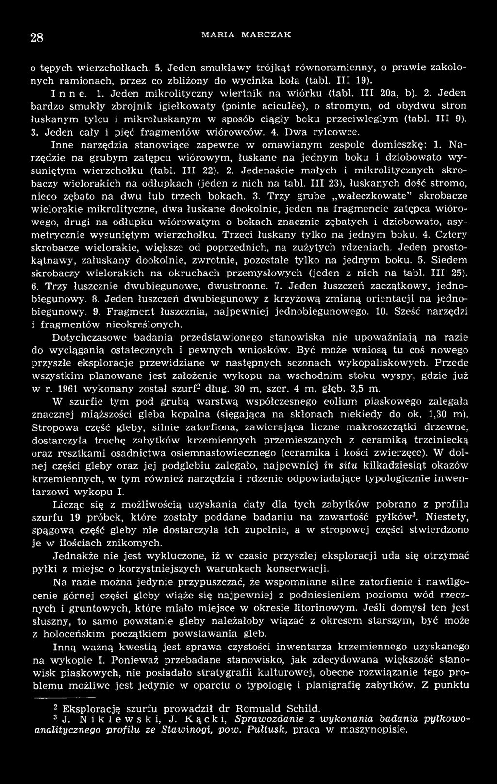 Narzędzie na grubym zatępcu wiórowym, łuskane na jednym boku i dziobowato wysuniętym wierzchołku (tabl. III 22