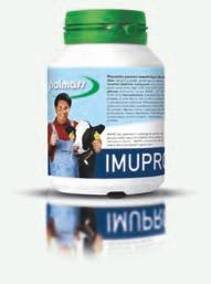 IMUPRO - immunoglobuliny probiotyk IMUPRO jest unikalnym połączeniem immunoglobulin IgY, probiotyku, maślanu wapnia oraz bakterii kwasu mlekowego Enterococcus faecium, podanych w postaci proszku.