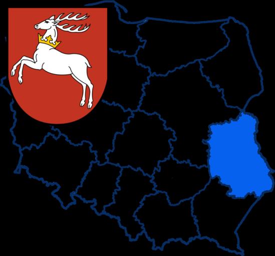 WOJEWÓDZTWO LUBELSKIE liczba pasażerów odprawionych (wszyscy przewoźnicy) liczba przejazdów na mieszkańca (wskaźnik wykorzystania) dynamika wskaźnika wykorzystania w latach 2012-2016 długość