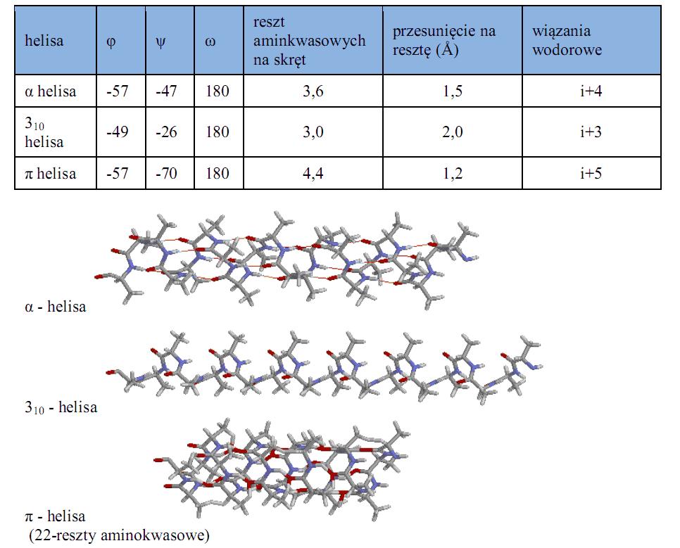 α-helisy