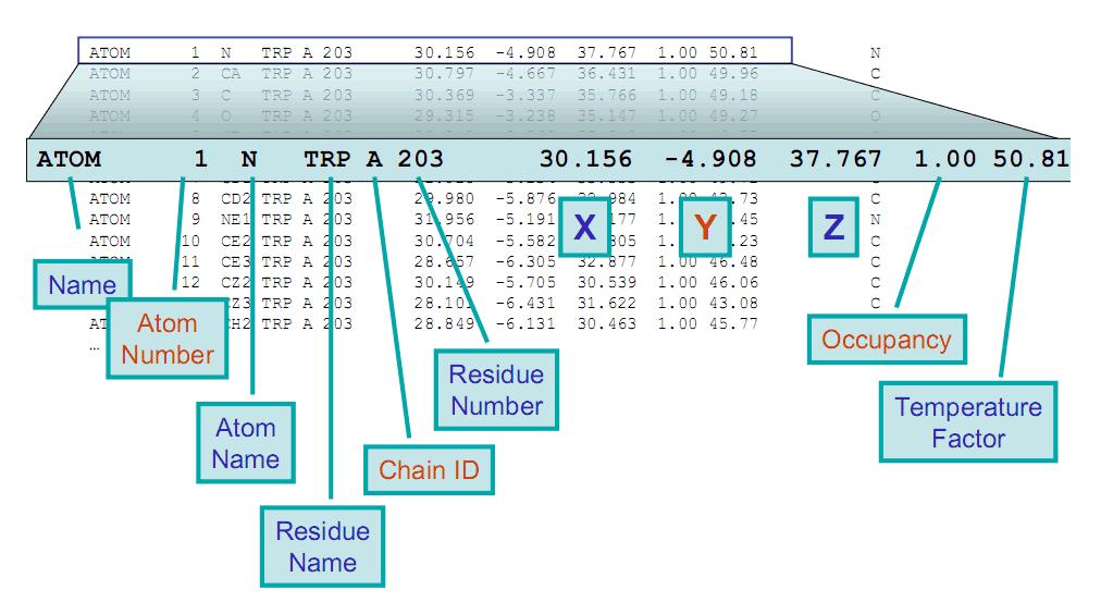 Plik PDB