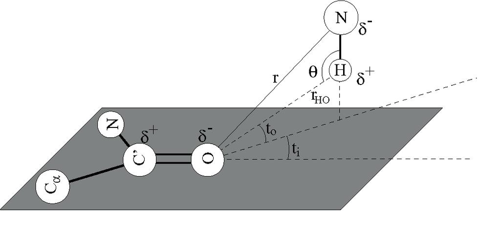 STRIDE Empirical Hydrogen Bond Calculation E E h b= r E t E p 4 r6 8 3 r m m E Er = r6 8 m r E p = cos2 (θ) [0.9 + 0.