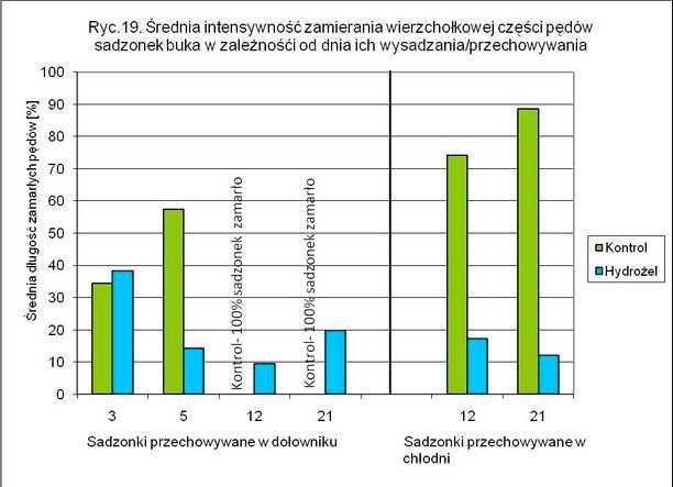 partii kontrolnej z tym objawem wynosiła od 62% do 100% odpowiednio po 12 i 21 dniach ich przechowywania.