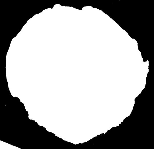 W przywileju królewskim określono także wygląd pieczęci, zawierającej litery AS (monogram Stanisława Ankwicza) i w otoku napis po łacinie Sigillum Oppidi Andrychoviensis (Pieczęć Miasteczka