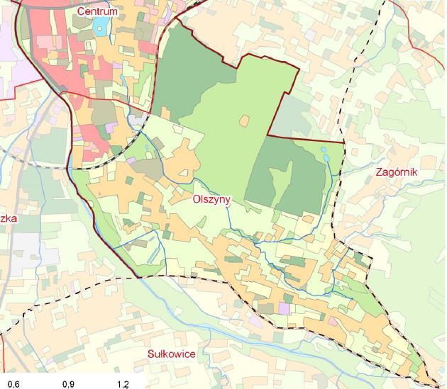 Sfera funkcjonalno-przestrzenna Odnosząc się do jednostki Olszyny, należy zauważyć, że w przestrzeni obok obszarów zabudowy mieszkaniowej jednorodzinnej, znajduje się zabudowa typu działkowego oraz