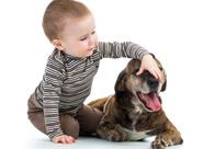 Dzieci biegają i krzyczą w pobliżu psa Dzieci, które krzyczą, biegają i bawią się hałaśliwie w pobliżu psa, mogą łatwo wystraszyć zwierzę.