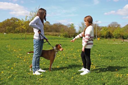 Bezpieczeństwo w kontakcie z psami w domu i na ulicy Nawet osoby nieposiadające psa mogą nauczyć dzieci bezpiecznego postępowania z psami, z którymi mogą się one spotykać na co dzień.