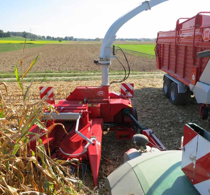 Przystawka do kukurydzy niezależna od rzędów Niezależna od rzędów przystawka do kukurydzy o szerokości roboczej 2,20 m (trzy rzędy po 75 cm) tnie w wolnej przestrzeni, dzięki czemu pole można