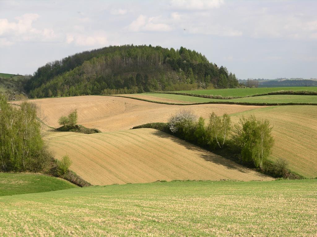Czynna ochrona muraw kserotermicznych Tworzenie powierzchniowych form ochrony W obrębie Ostoi Miechowskiej wyznaczono dodatkowo 12 mniejszych