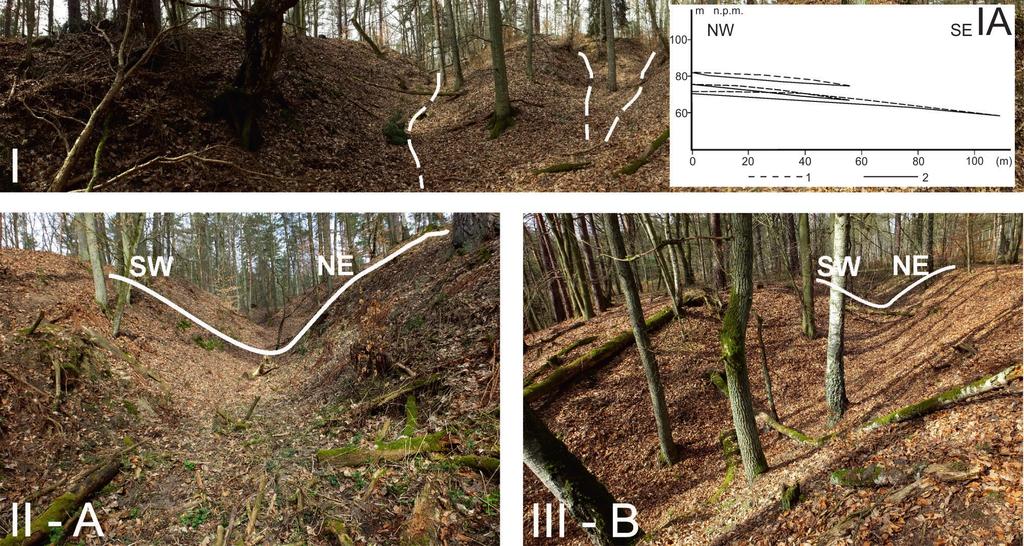Późnoglacjalna depozycja osadów dolinek wschodnich stoków Buślarskich Gór (Pojezierze Zachodniopomorskie) logicznego (Instrukcja ), zaś wskaźniki uziarnienia obliczono metodą Folka i Warda (9),