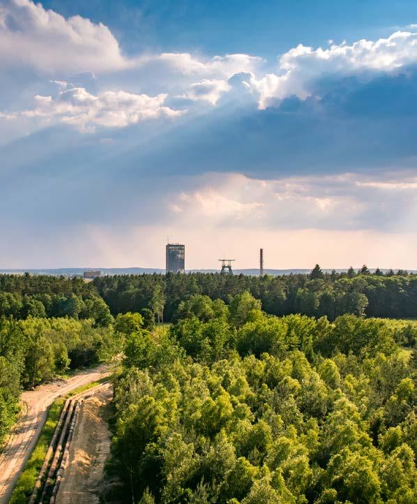 Strategia Wykonawcza Produkcja i Bezpieczeństwo nowania programu bezpieczeństwa 5x5s (Separate, Sort, Set in order, Standardize, Sustain) czy analizę wskaźnika TRIR (Total Recordable Injury Rate).