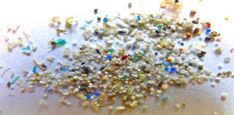 Mikroplastik w kosmetykach zagrożenie dla środowiska Mikroplastik o dużej gęstości gromadzi się na dnie akwenów wodnych i jest pochłonięty przez przydenne bezkręgowce.