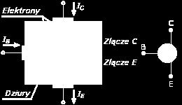 Mniejsza część elektronów swobodnych po osiągnięciu obszaru bazy wypełnia istniejące tam dziury, czyli podlega procesowi rekombinacji.