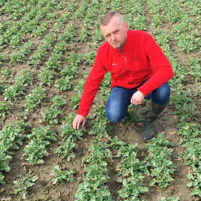 Pan Łukasz Jakusek Gospodarstwo Blizocin, pow. trzebnicki, woj. dolnośląskie W gospodarstwie uprawiam ok. 100 ha rzepaku. Odmiany hodowli LG zajmują ok. 50% areału.