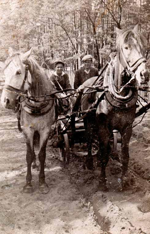 Józefów 1939, Stanisław Kołodziej (17 lat) jako pracownik