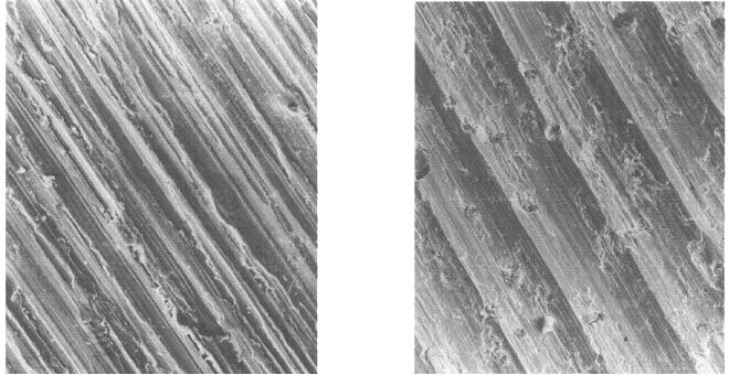 1-2010 T R I B O L O G I A 55 a) b) Rys. 2. Mikrofotografie struktury geometrycznej powierzchni technologicznych: żeliwa GJSF: a) po szlifowaniu, b) po nagniataniu siłą P = 4000 N.