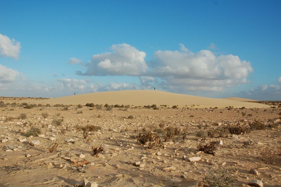 suchym migracje i półsuchym ludności jako w walor południowym turystyczny Maroku (na przykładzie oazy Wpływ
