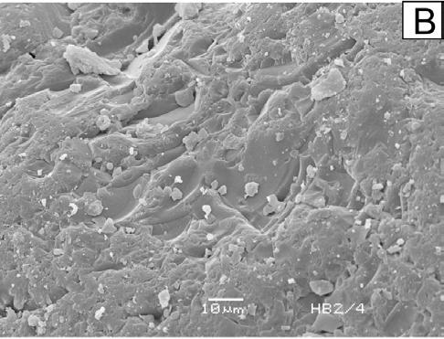 kwarcu analizowanych w skaningowym mikroskopie elektronowym (SEM) w tym intensywność wietrzenia mrozowego mającego miejsce w kopalnej jak i współczesnej aluwiów rzeki warstwie Nurzec czynnej