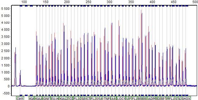 HR-CGH >3 Mpz