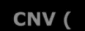 CNV (copy number variants) zmiana liczby kopii